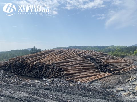 河道打樁為什么選擇松木樁來處理軟地基？-松木樁施工使用范圍