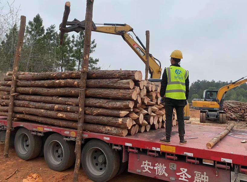 開(kāi)化城白公路改建工程二期松木樁施工方案